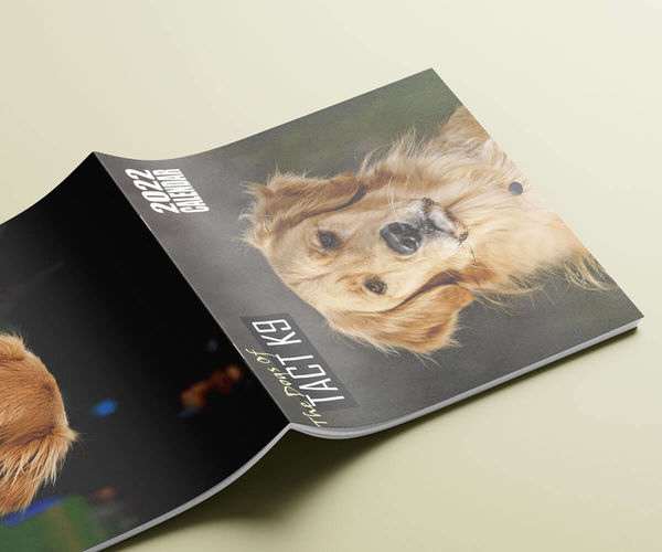 Saddle Stitch Catalog